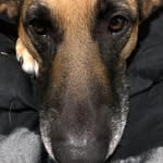Shawn Keim - @calgarykeim - Instagram