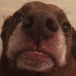 shawnkimbrough - @cooperkimbrough305 - Instagram