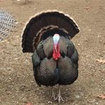 Shawn Kinney - @shawn.kinney.31 - Instagram
