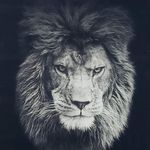 Shawn Kish - @shawn.kish - Instagram