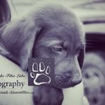 Shawn Knowles - @knowles.shawn - Instagram