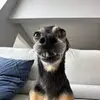 shawnknowles_8 - @shawnknowles_8 - TikTok