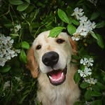 Shawn Koonce - @shawn_the_stud - Instagram