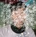 Shayan Laskar - Facebook