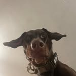 Shawn Lafferty - @shawnfran421 - Instagram