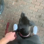 Shaun Laird - @shxunlaird - Instagram