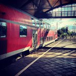 Shawn Lear - @dastartl - Instagram