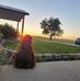 Shawn Lear - Facebook