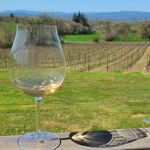 Shawn Lemmon - @discover_pnw_wines - Instagram