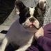 Shawn Lind - Facebook