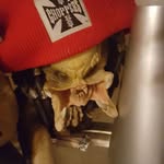 Shawn Linton - @metrofreek - Instagram