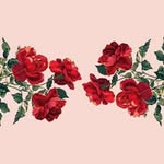 ShawnM Fan - @shawn_lovingg - Instagram