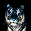 Shawn Lowery - @shawn.lowery41 - TikTok