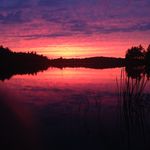 Shawn MacLeod - @burgmac - Instagram