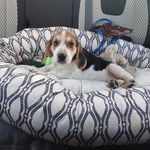 Shawn MacLeod - @macleod.shawn - Instagram