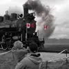 shawnmacneil3 - @shawnmacneil3 - TikTok