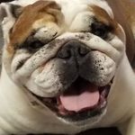 Shawn Magee - @mageecon - Instagram
