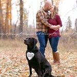Shawn Magee - @magee4847 - Instagram