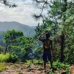 Shawn Maharaj - @shawn_maharaj - Instagram