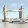 Malik333 - @shawn.malik333 - TikTok