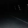 shawn malik - @shawwnmalik - TikTok