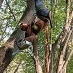 Shawn Silver Maple Stellmacher - @stellmacher.shawn - Instagram