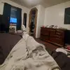 shawnmaples3 - @shawnmaples3 - TikTok