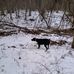 Shawn Markle - Facebook