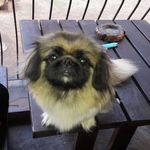 Shaun Marlow - @shaun.marlow.37 - Instagram