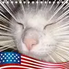 Shawn Maska - @shawnmaska - TikTok