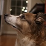 Shawn Matteson - @shawnmattesonphotography - Instagram
