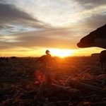 Shawn Matter - @shawnmatter - Instagram