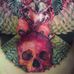 Sean McCready - Facebook
