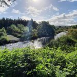Shane McCready - @shane_mccready_ - Instagram