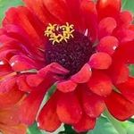 Shawn McCready - @shawnmccready7165 - Instagram