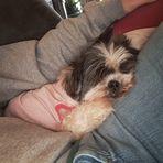 Shawn McDade - Facebook