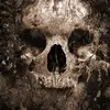 Shawn McDade - @shawn.mcdade - TikTok