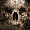 shawnmcdade57 - @shawnmcdade57 - TikTok