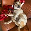 Itz_McNutt - @shawnmcnutt - TikTok