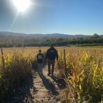 Shawn Mead - @shawn_mead45 - Instagram