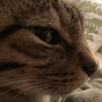 Shawn Meade - @miss_shawn_67 - Instagram