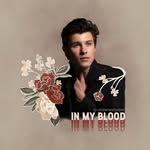 SHAWN_PETER_RAUL_MENDES - @shawn.mercy_1998 - Instagram