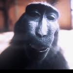 Shane Messenger - @certified_wxsh - Instagram