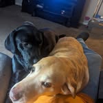 Shawn Millard - @shawn.millard.56 - Instagram