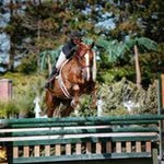Shawn Remillard - @shawnremillard - Instagram