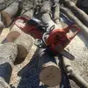 shawn.millard16 - @shawnyboybud - TikTok