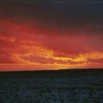 Shawn Moen - @shawn.moen.31 - Instagram