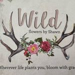 Shawn Moen - @wild_flowers_by_shawn - Instagram