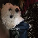 Shawn Moose Tipton - @shawnmooset74 - Instagram