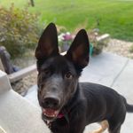 Shawn Munson - @shawn_munson - Instagram